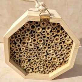Ruche en bois massif pour abeilles